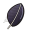 Krucze Pióro